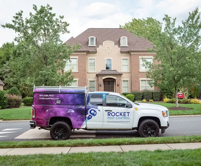 Rocket Pest Control Picture 8