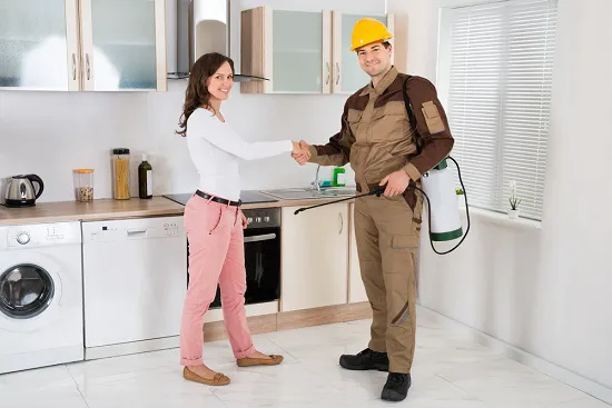 Zap Pest Control, Inc.- A Division of Clark's Pest Picture 3