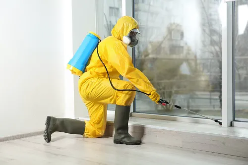 Zap Pest Control, Inc.- A Division of Clark's Pest Picture 10