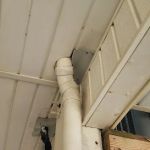 Billy Suggs wildlife removal services