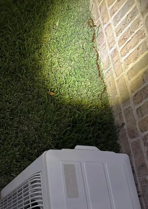 Manning's Pest Control Picture 5