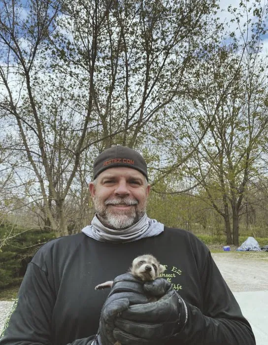 Pest EZ : Exterminator Novi, Pest Control Services Novi Picture 5