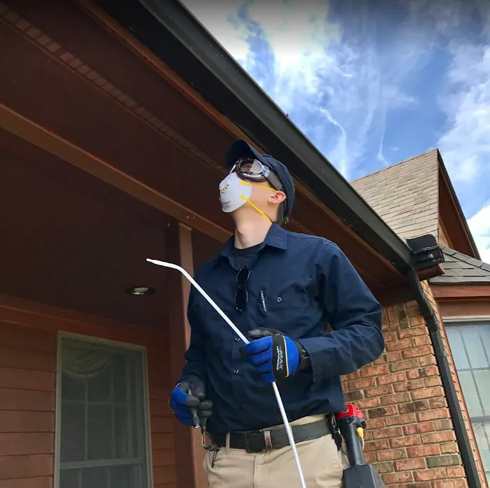 Wingman Pest Control Picture 8