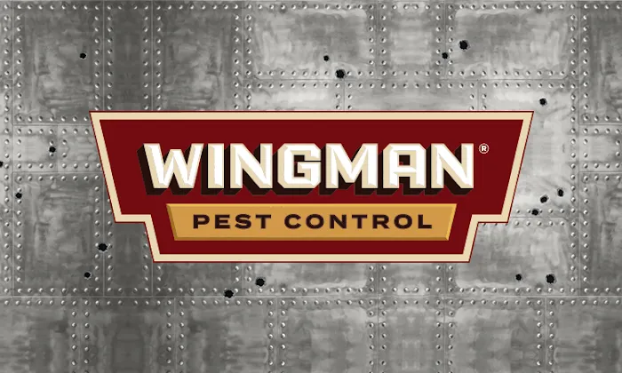 Wingman Pest Control Picture 7