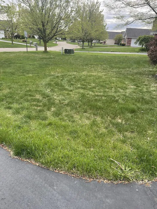 D&G Natures Way Lawn Care Picture 8