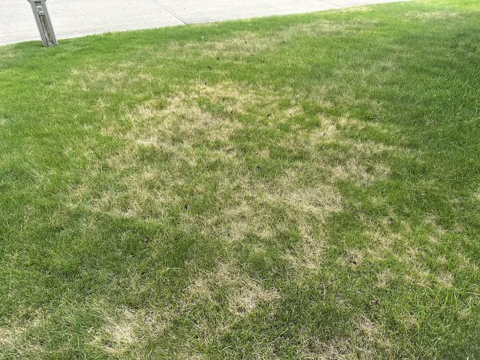 D&G Natures Way Lawn Care Picture 2