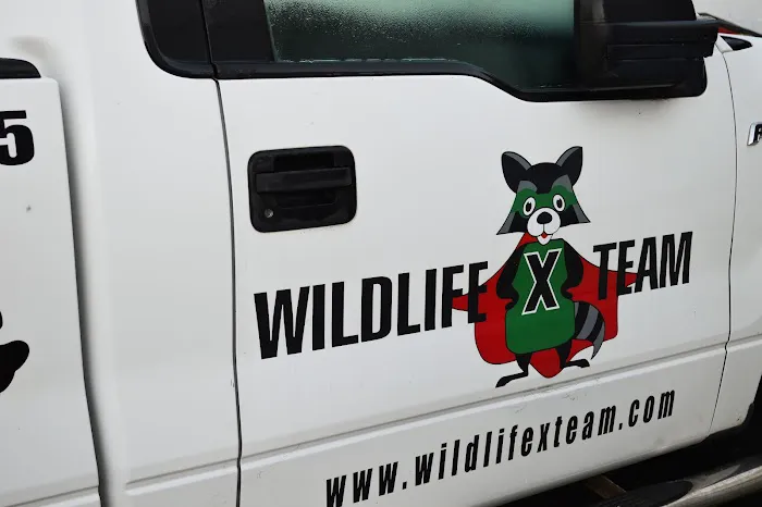 Wildlife X Team Of Southeast Michigan LLC Picture 1