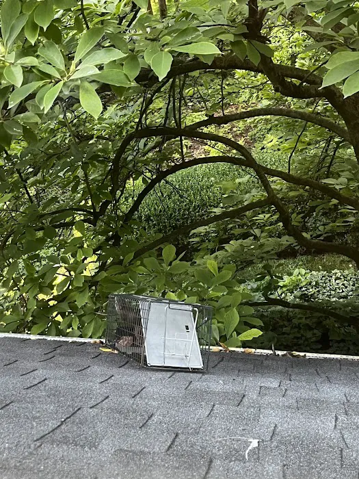 Pest EZ: Exterminator, Pest control service Picture 8