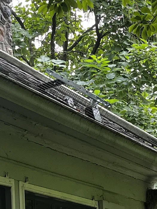Pest EZ: Exterminator, Pest control service Picture 7
