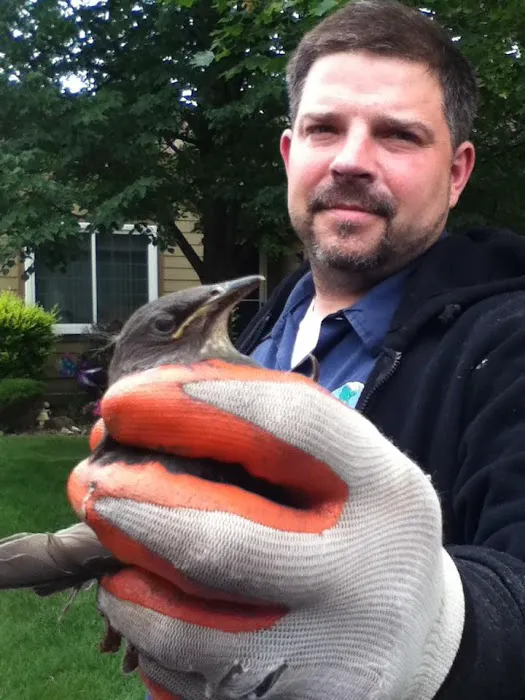 Pest EZ: Exterminator, Pest control service Picture 6