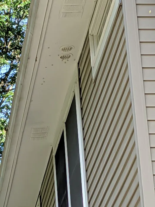 Greenix Pest Control Picture 2