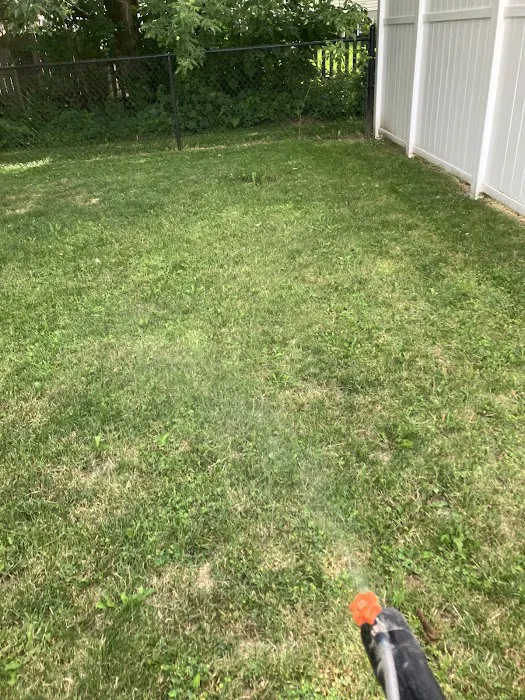 Greenix Pest Control Picture 7