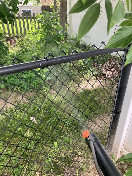 Greenix Pest Control Picture 3
