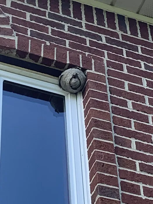Greenix Pest Control Picture 10