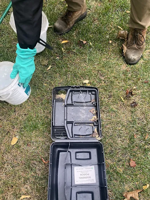 Greenix Pest Control Picture 8