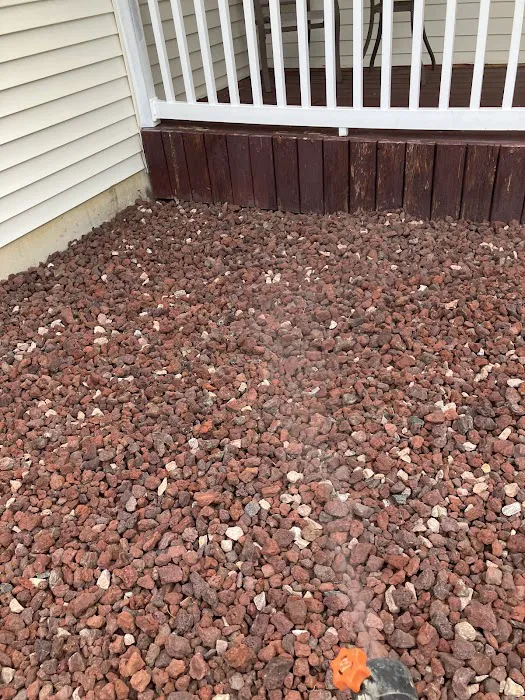 Greenix Pest Control Picture 4
