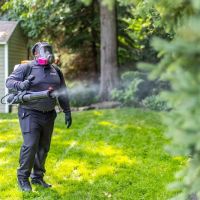 proof. Pest Control ico