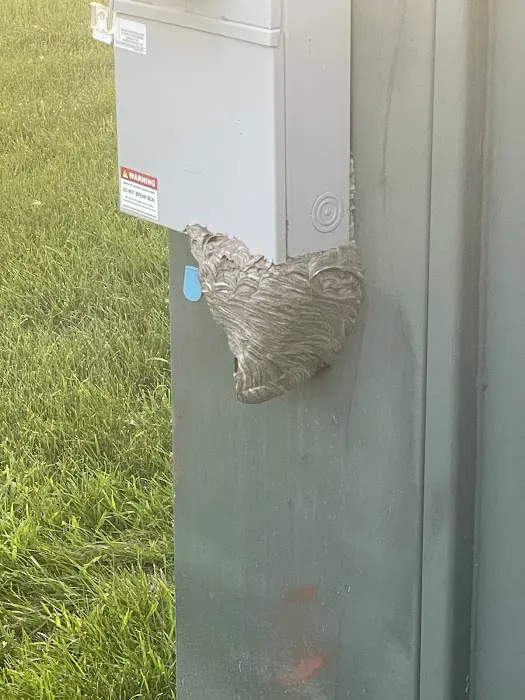 Ulmer Pest Control Picture 5