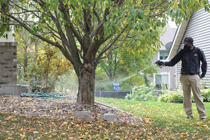 Rove Pest Control Picture 9