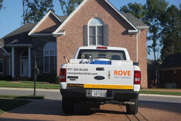 Rove Pest Control Picture 3