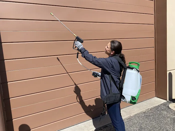 Rove Pest Control Picture 8