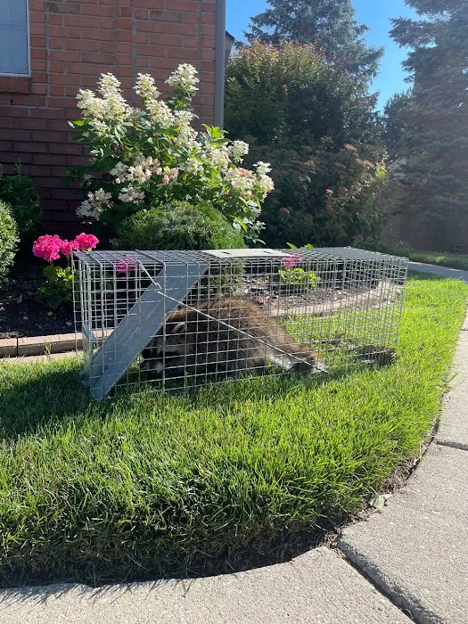 CJB Pest & Mosquito Control Picture 2