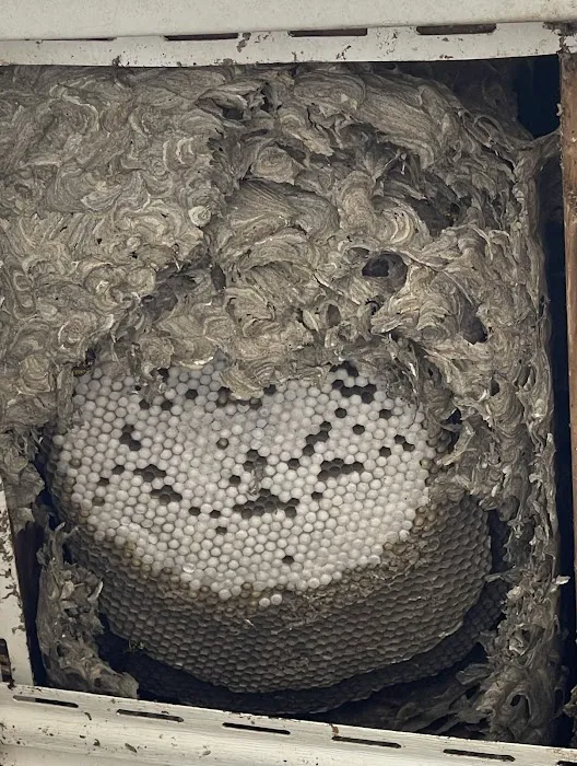 CJB Pest & Mosquito Control Picture 9