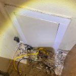 CJB Pest & Mosquito Control