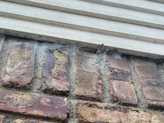 CJB Pest & Mosquito Control Picture 7