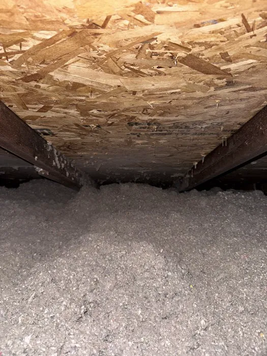 Griffin Pest Solutions, Inc. Picture 1