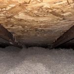 Griffin Pest Solutions, Inc.