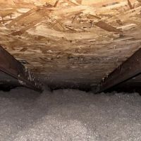 Griffin Pest Solutions, Inc. ico
