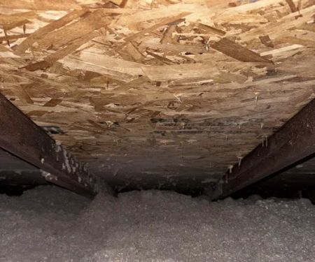 Griffin Pest Solutions, Inc.