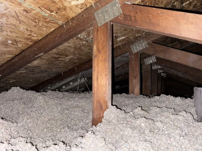 Griffin Pest Solutions, Inc. Picture 3