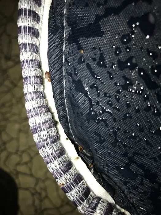 5 Star Pest Control Picture 8