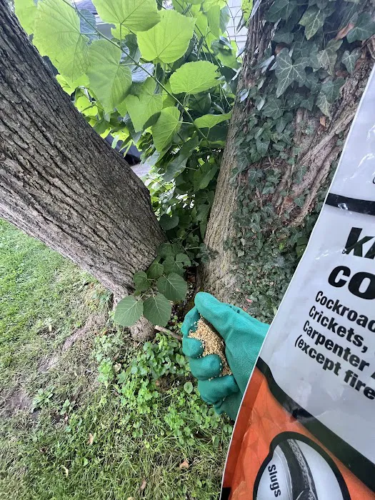 Aptive Pest Control Picture 6