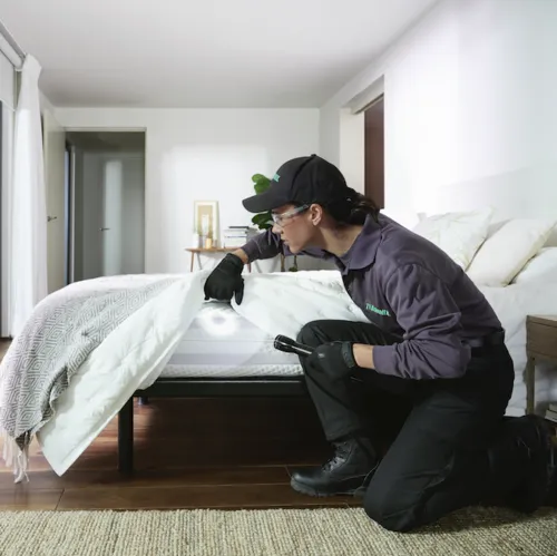 Terminix Commercial Picture 1
