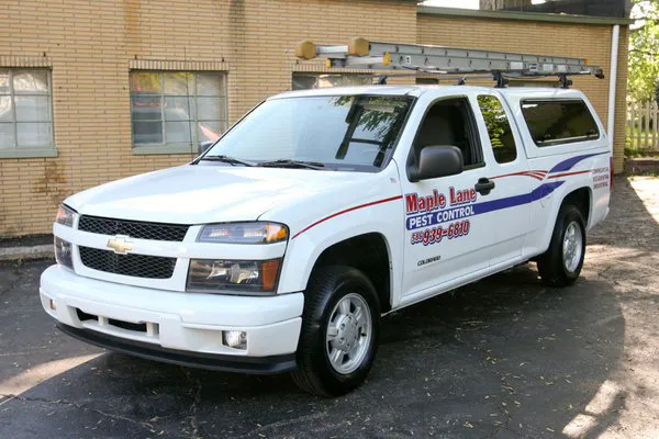 Maple Lane Pest Control Picture 9