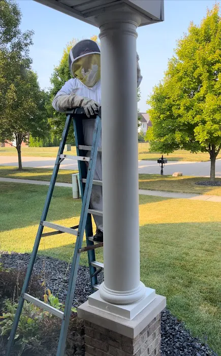 Maple Lane Pest Control Picture 5