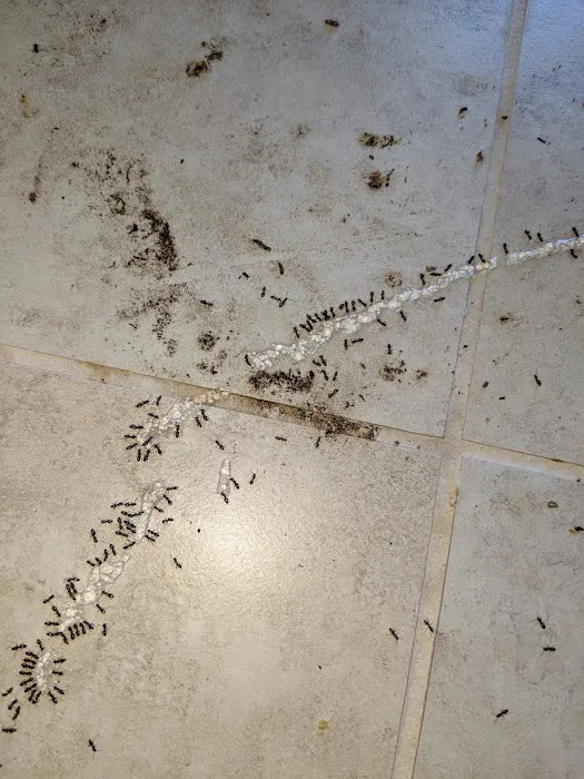 W4 Pest Management Picture 3