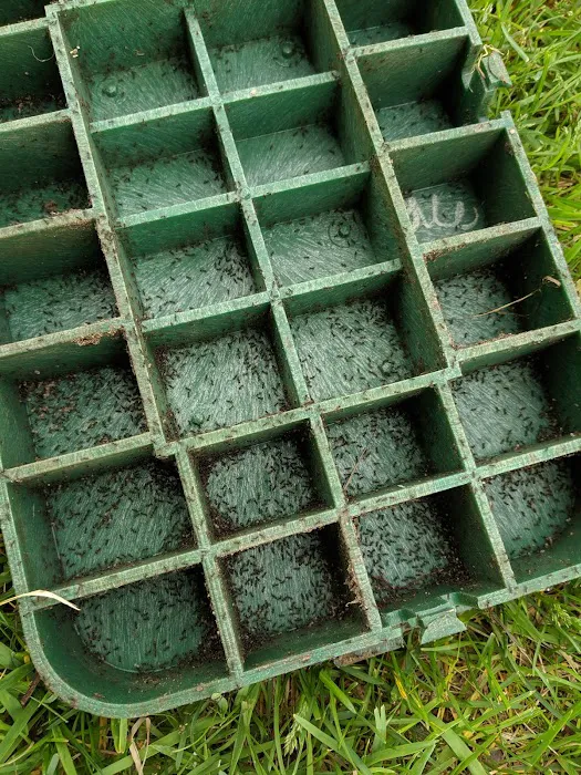 W4 Pest Management Picture 7