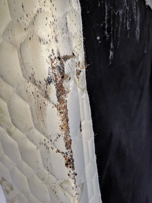 W4 Pest Management Picture 8