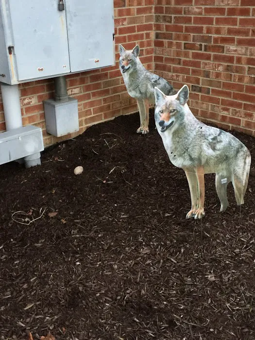 Rusty's Animal Control Picture 9