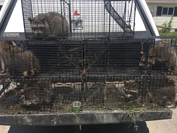 Rusty's Animal Control Picture 10
