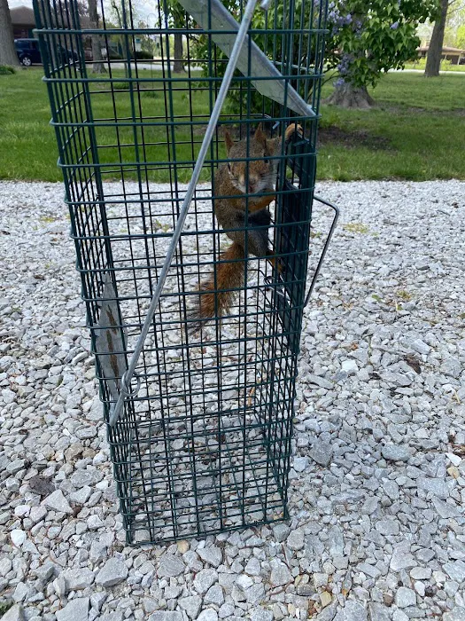 Trapper Joe’s Wildlife Control, LLC Picture 8