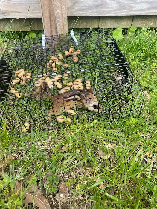 Trapper Joe’s Wildlife Control, LLC Picture 4