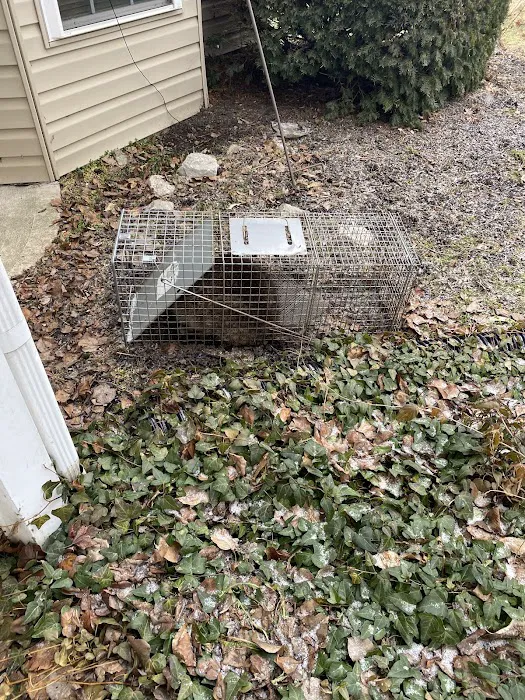 Trapper Joe’s Wildlife Control, LLC Picture 7