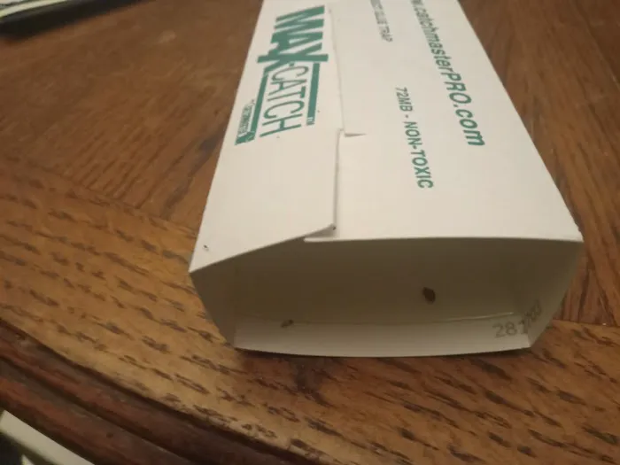 Instant Bed Bug Assassins Picture 8