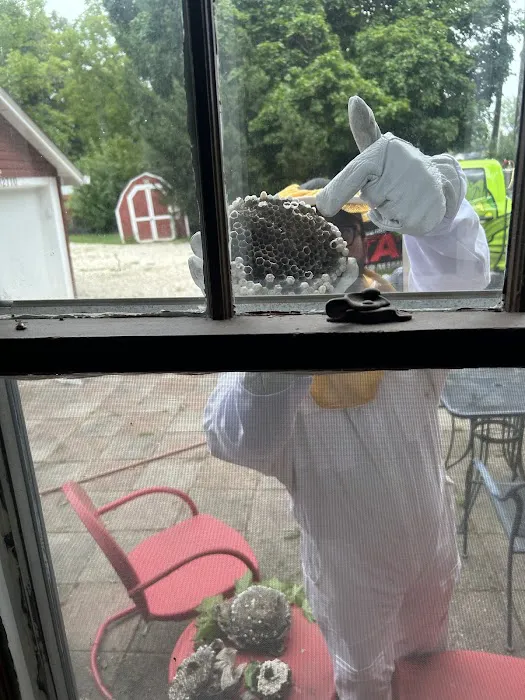 AAA Exterminating Inc Picture 4