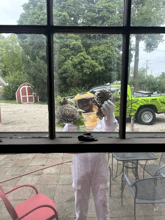 AAA Exterminating Inc Picture 5
